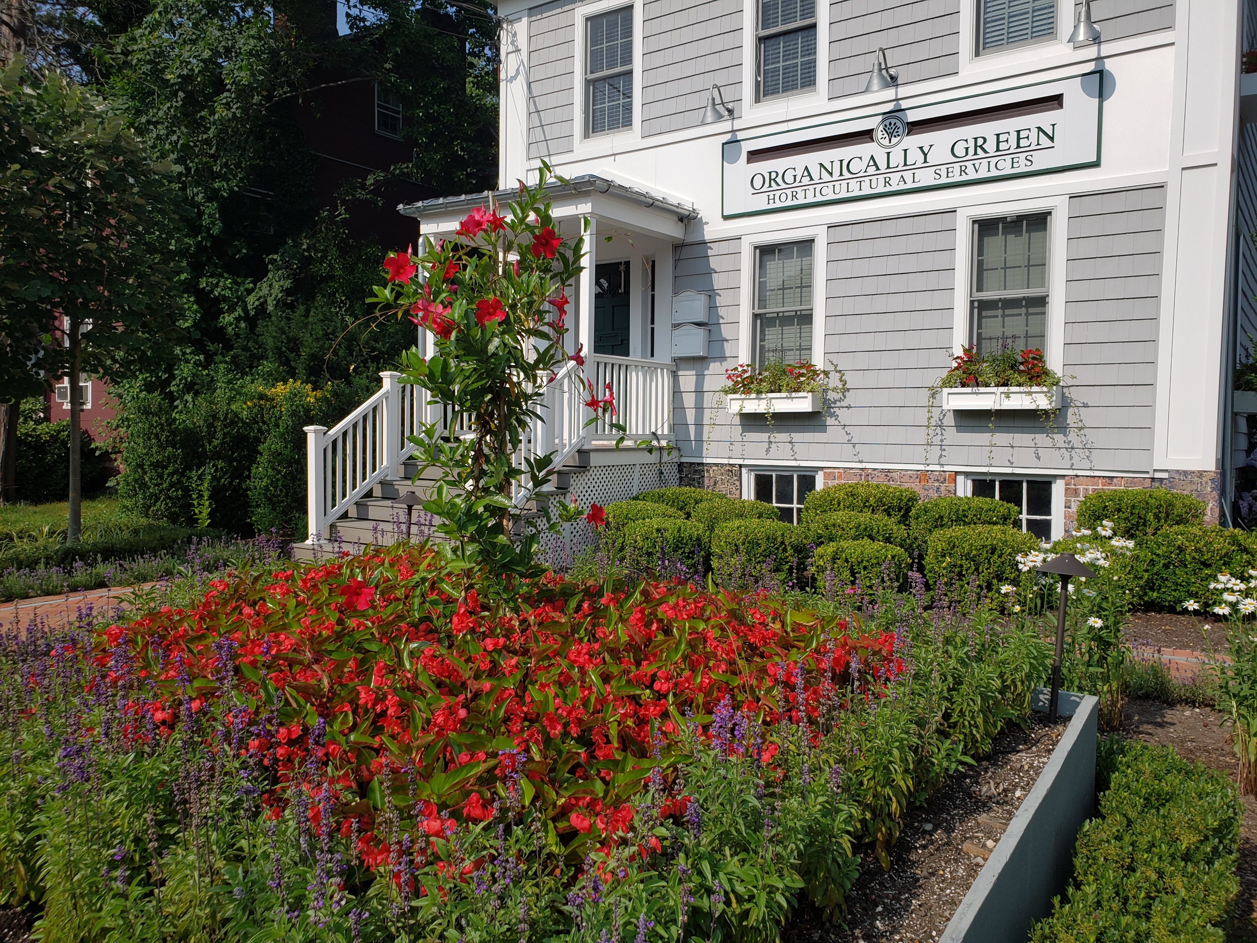 Organically Green headquarters with beautiful planted landscape